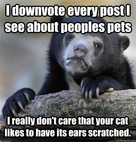 I downvote every post I see about peoples pets I really don't care that your cat likes to have its ears scratched.  Confession Bear