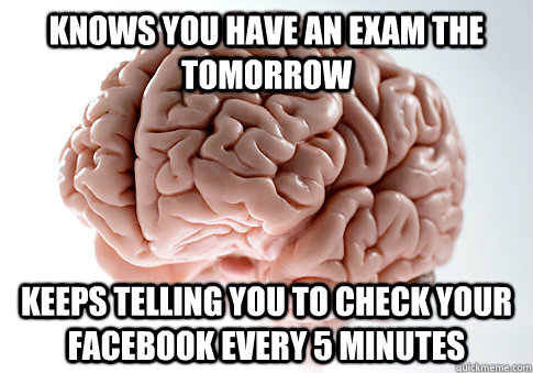 Knows you have an exam the tomorrow keeps telling you to check your Facebook every 5 minutes   Scumbag Brain