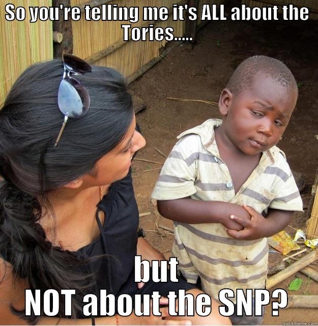 SO YOU'RE TELLING ME IT'S ALL ABOUT THE TORIES..... BUT NOT ABOUT THE SNP? Skeptical Third World Kid