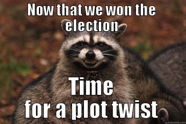 NOW THAT WE WON THE ELECTION TIME FOR A PLOT TWIST Evil Plotting Raccoon