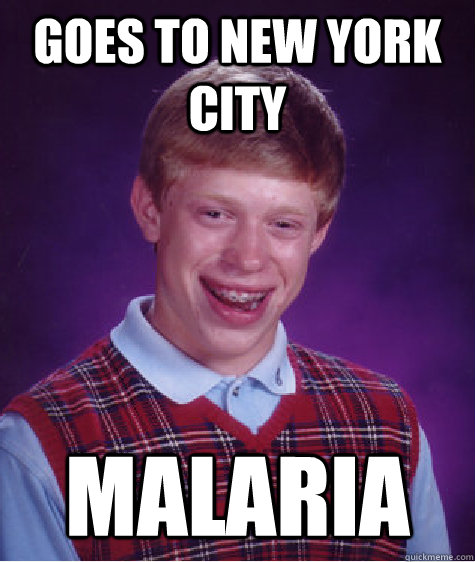 goes to new york city malaria Caption 3 goes here  Bad Luck Brian