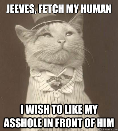 Jeeves, fetch my human I wish to like my asshole in front of him  Aristocat