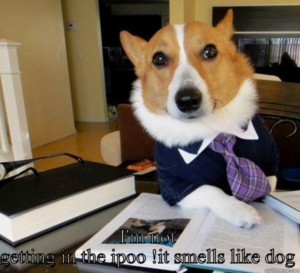  I'M NOT GETTING IN THE IPOO !IT SMELLS LIKE DOG Lawyer Dog