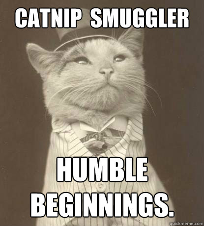 CATNIP  SMUGGLER HUMBLE  BEGINNINGS.  Aristocat