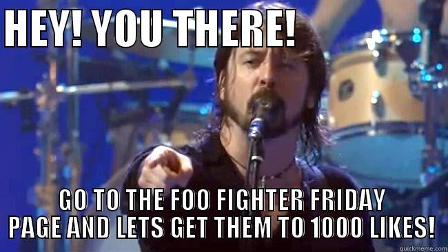 HEY! YOU THERE!                   GO TO THE FOO FIGHTER FRIDAY PAGE AND LETS GET THEM TO 1000 LIKES! Misc