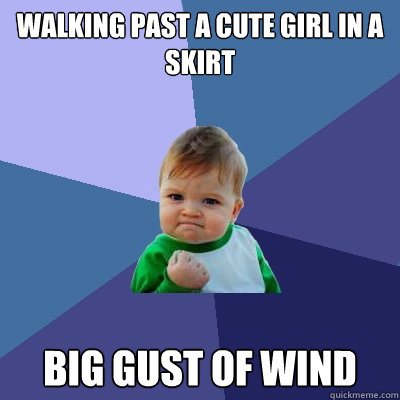 Walking past a cute girl in a skirt Big gust of wind  Success Kid