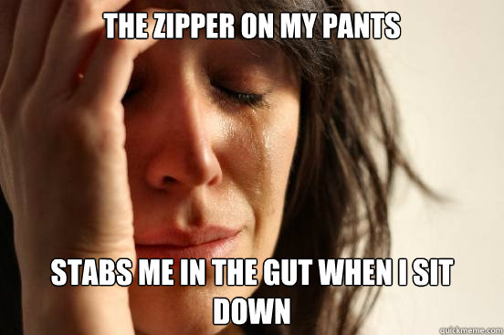 The zipper on my pants Stabs me in the gut when I sit down  First World Problems