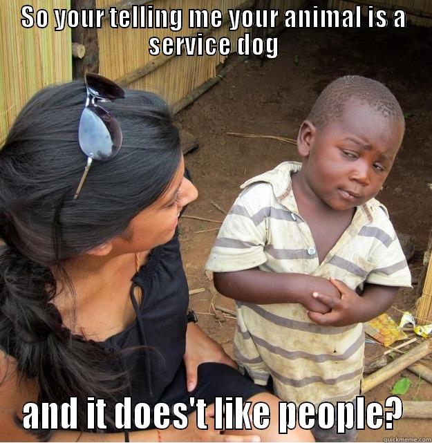 SO YOUR TELLING ME YOUR ANIMAL IS A SERVICE DOG AND IT DOES'T LIKE PEOPLE? Skeptical Third World Kid