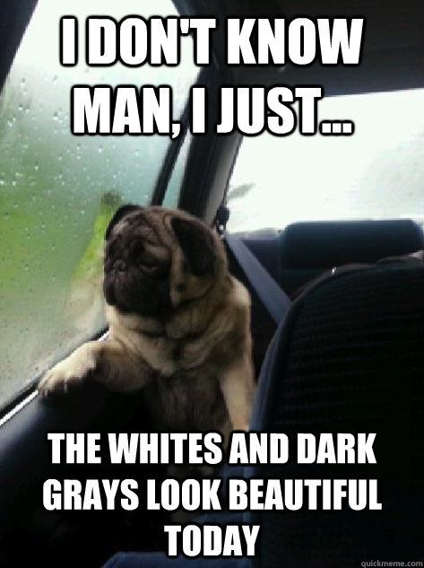 I don't know man, I just... the whites and dark grays look beautiful today  Introspective Pug