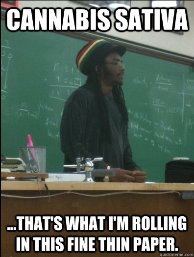 Cannabis Sativa ...That's what I'm rolling in this fine thin paper.  Rasta Science Teacher