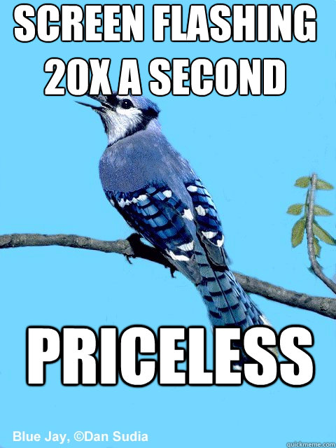 Screen Flashing 20x a Second Priceless  Blue Team Bird