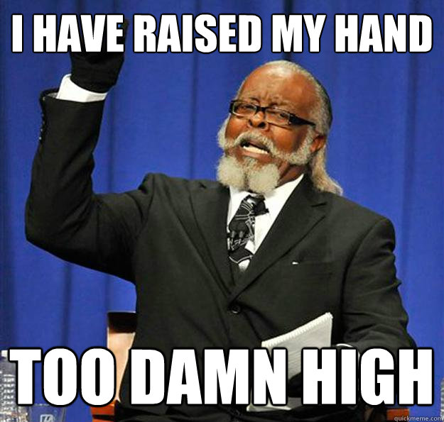 I have raised my hand too damn high  Jimmy McMillan