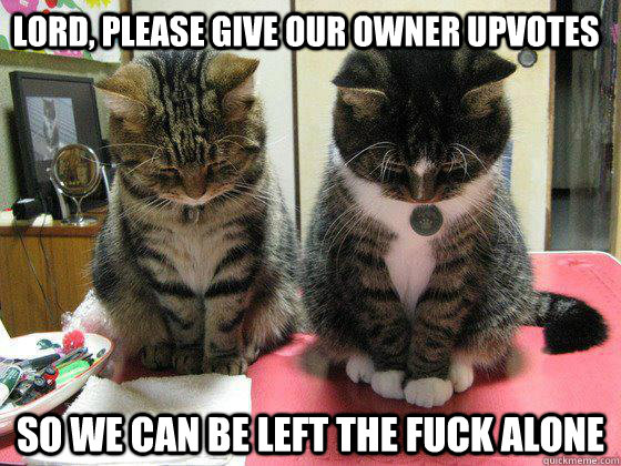 Lord, please give our owner upvotes So we can be left the fuck alone  Praying cats