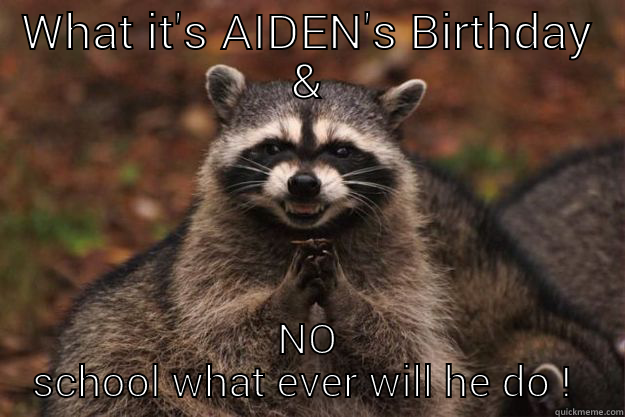 WHAT IT'S AIDEN'S BIRTHDAY & NO SCHOOL WHAT EVER WILL HE DO !  Evil Plotting Raccoon