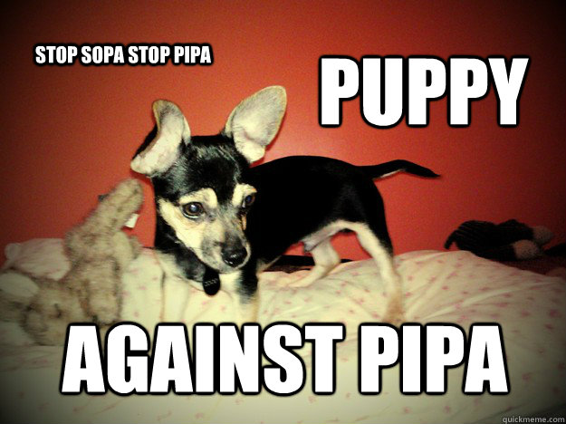 PUPPY AGAINST PIPA stop Sopa Stop Pipa   Puppy Against PIPA