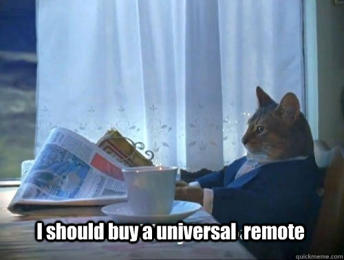 I should buy a universal  remote - I should buy a universal  remote  Fancy Cat