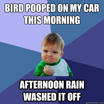 bird pooped on my car this morning afternoon rain washed it off  Success Kid