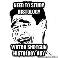 Need to study histology Watch shotgun histology guy  