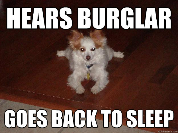 hears burglar goes back to sleep  