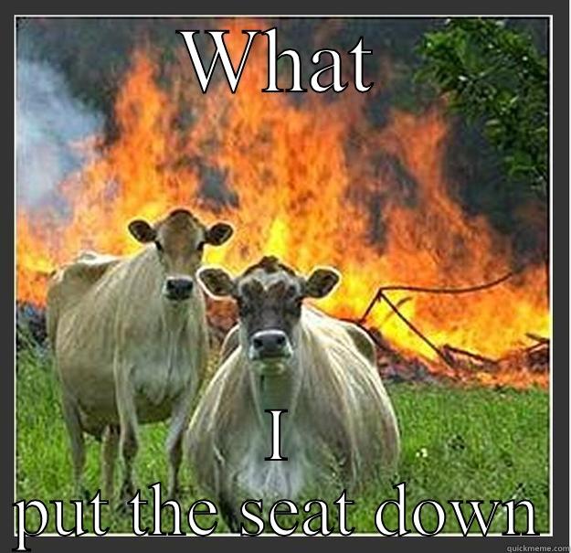 Talking cow - WHAT I PUT THE SEAT DOWN Evil cows