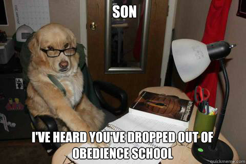 Son I've heard you've dropped out of obedience school  Financial Advice Dog