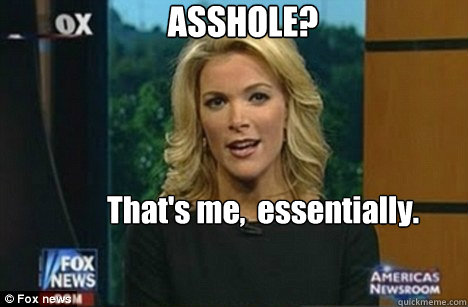 ASSHOLE? That's me,  essentially.   Megyn Kelly