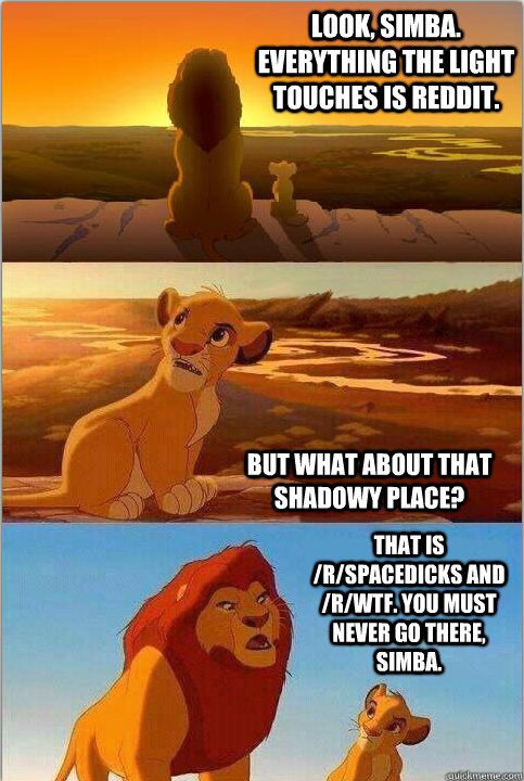 Look, Simba. Everything the light touches is reddit. But what about that shadowy place? That is /r/spacedicks and /r/wtf. You must never go there, Simba.   