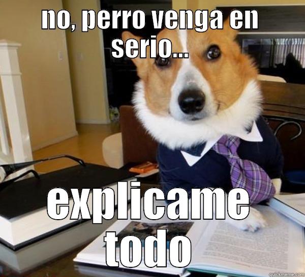 NO, PERRO VENGA EN SERIO... EXPLICAME TODO Lawyer Dog