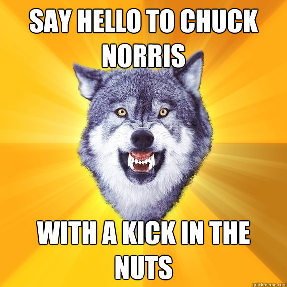 Say hello to chuck norris with a kick in the nuts - Say hello to chuck norris with a kick in the nuts  Courage Wolf