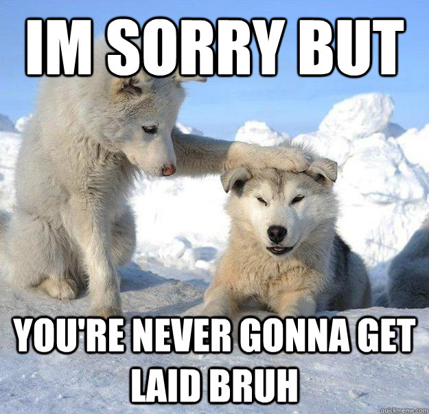 im sorry but
 you're never gonna get laid bruh  Caring Husky