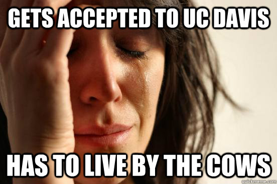 gets accepted to uc davis has to live by the cows  First World Problems