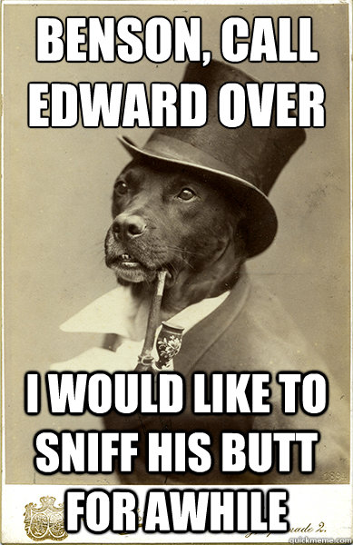 Benson, call edward over I would like to sniff his butt for awhile - Benson, call edward over I would like to sniff his butt for awhile  Old Money Dog