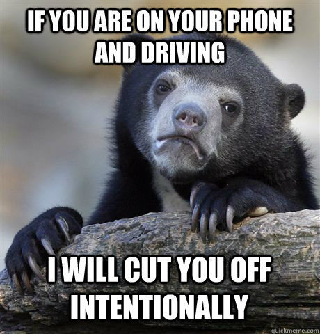 If you are on your phone and driving I will cut you off intentionally   Confession Bear