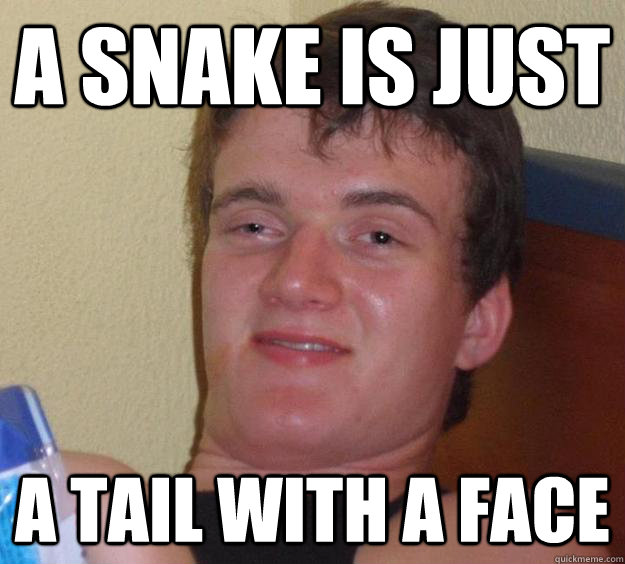 a snake is just a tail with a face  10 Guy