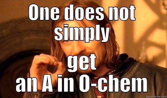 ONE DOES NOT SIMPLY GET AN A IN O-CHEM Boromir