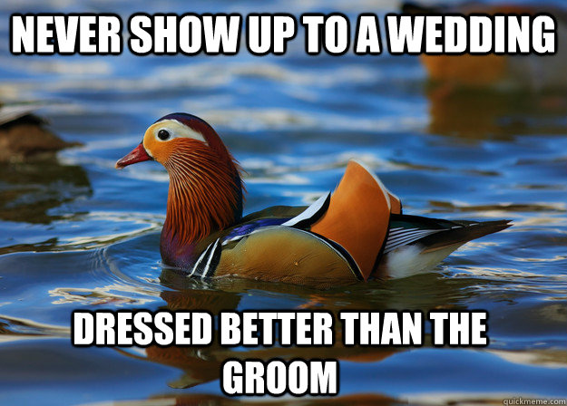 never show up to a wedding dressed better than the groom  Fashion Advice Mallard