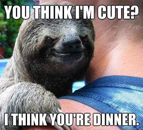 You think I'm cute? I think you're dinner.
  Suspiciously Evil Sloth