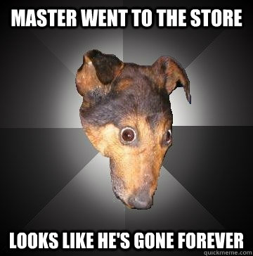 Master went to the store Looks like he's gone forever  Depression Dog