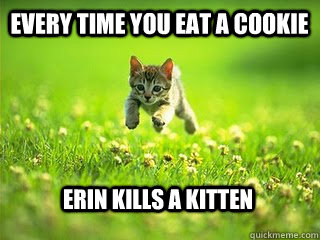 Every time you eat a cookie erin kills a kitten  Excited Kitten