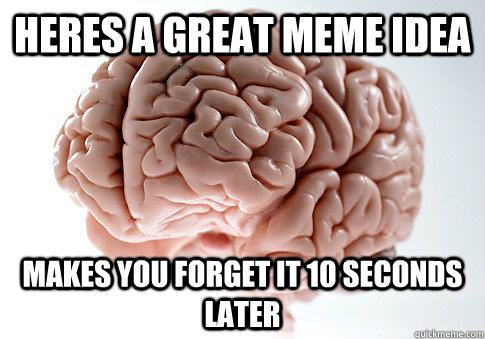 Heres a great meme idea makes you forget it 10 seconds later  Scumbag Brain