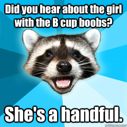 Did you hear about the girl with the B cup boobs? She's a handful.  Lame Pun Coon