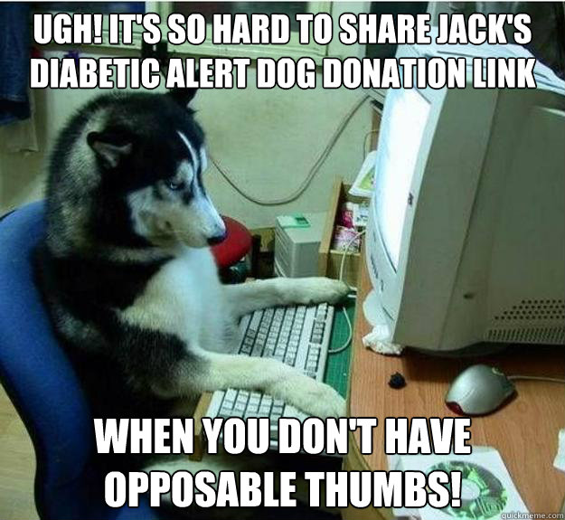 Ugh! It's so hard to share jack's diabetic alert dog donation link when you don't have opposable thumbs!  - Ugh! It's so hard to share jack's diabetic alert dog donation link when you don't have opposable thumbs!   Disapproving Dog