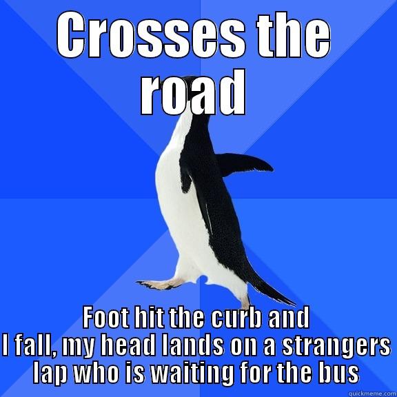 CROSSES THE ROAD FOOT HIT THE CURB AND I FALL, MY HEAD LANDS ON A STRANGERS LAP WHO IS WAITING FOR THE BUS Socially Awkward Penguin