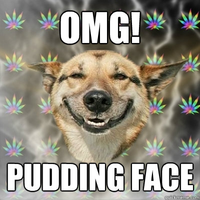 OMG! PUDDING FACE  Stoner Dog