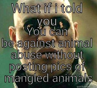 WHAT IF I TOLD YOU YOU CAN BE AGAINST ANIMAL ABUSE WITHOUT POSTING PICS OF  MANGLED ANIMALS Matrix Morpheus