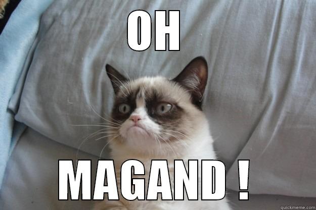 oh magand - OH MAGAND ! Grumpy Cat