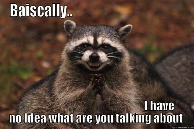 BAISCALLY..                                                                                                    I HAVE NO IDEA WHAT ARE YOU TALKING ABOUT Evil Plotting Raccoon