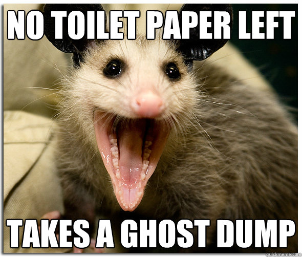 No toilet paper left takes a ghost dump  The Awesome Possum