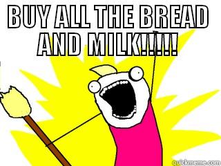 BUY ALL THE BREAD AND MILK!!!!!  All The Things