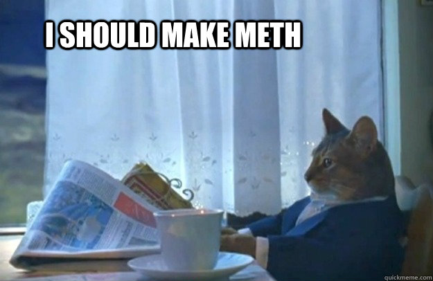 I should make meth  Sophisticated Cat